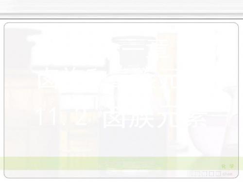 化工四大化学(专业)卤族元素(课堂讲义)