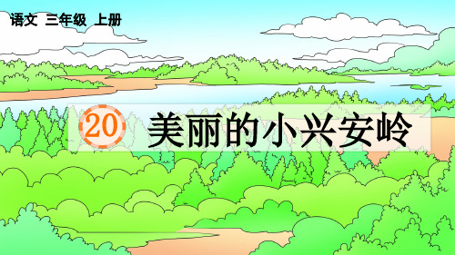 部编版三年级语文上册第20课 美丽的小兴安岭课件2套 含课时练习2