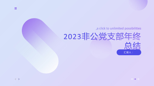 2023非公党支部年终总结