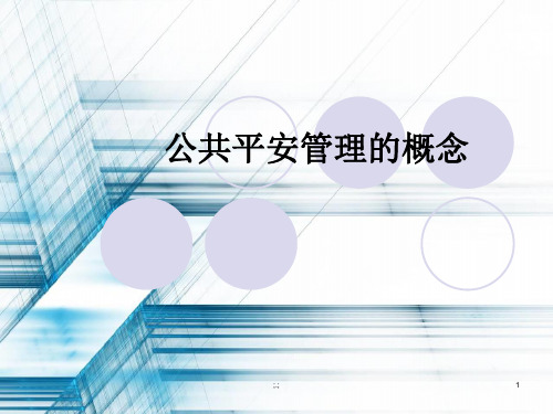 公共安全管理的概念(完整版)