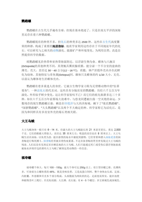 鹦鹉螺