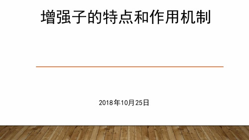 增强子的特点及其作用机制