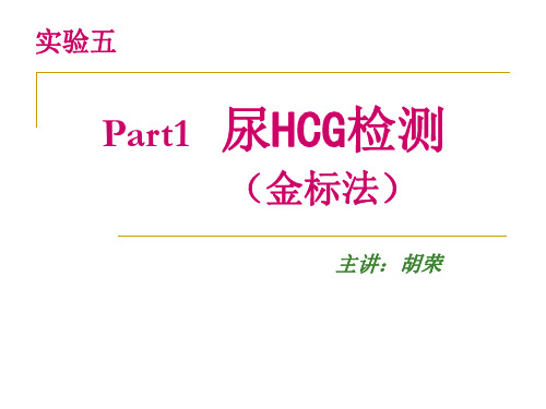 实验五尿HCG检测(金标法)及家兔心脏采血(精)