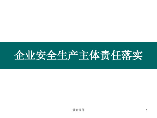 安全生产主体责任培训ppt课件