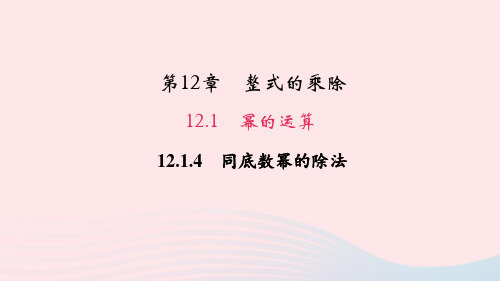 数学八年级上册12.1幂的运算4同底数幂的除法作业课件 华东师大版
