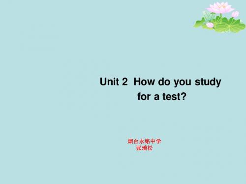 鲁教版初三英语unit2 Section B