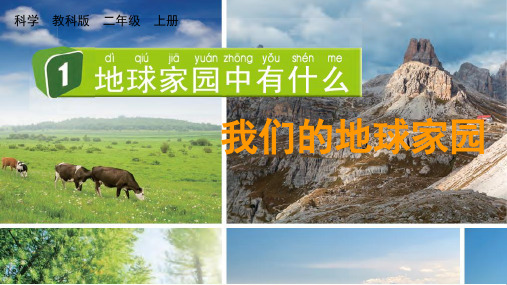 二年级科学上册第一单元  我们的地球家园第1课《地球家园中有什么》教学课件