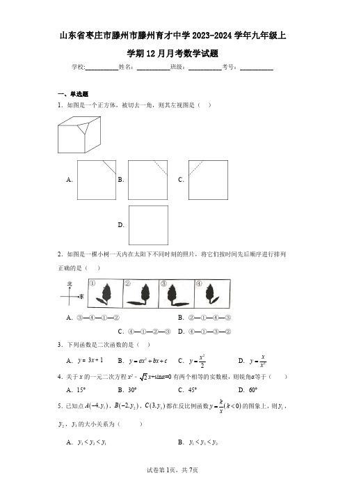 山东省枣庄市滕州市滕州育才中学2023-2024学年九年级上学期12月月考数学试题