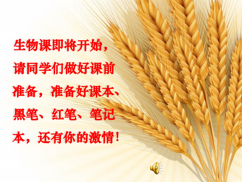 【新教材人教版化学】蛋白质PPT精美课件1