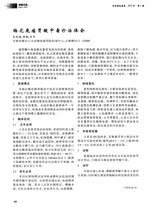 梅花鹿瘤胃酸中毒诊治体会