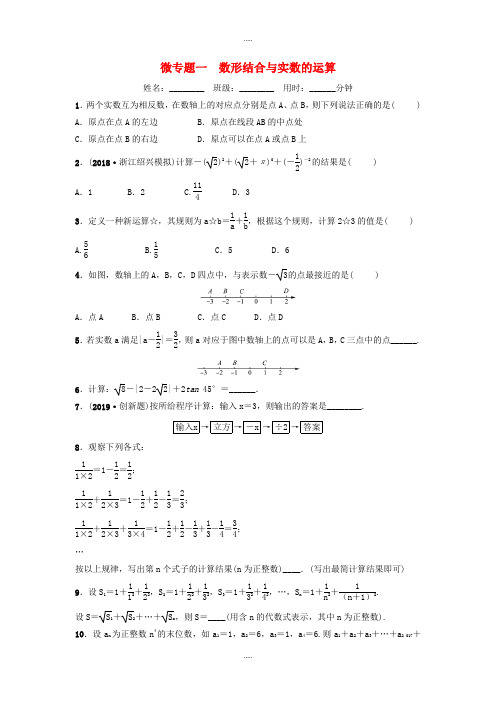 浙江省2019届中考数学复习微专题训练(打包10套,Word版,含答案)