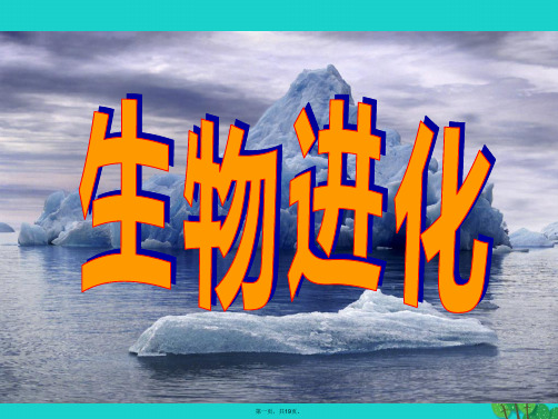 高中生物第三册第9章生物进化9.1生物的进化课件2沪科版
