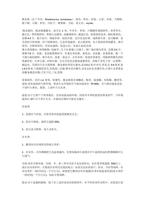 桃金娘