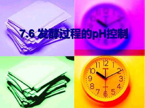 6.5发酵过程的pH控制(2)
