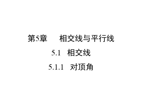 华东师大版七年级上册数学5.1.1  对顶角