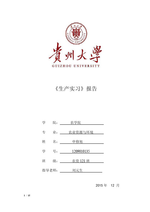 《生产实习》报告