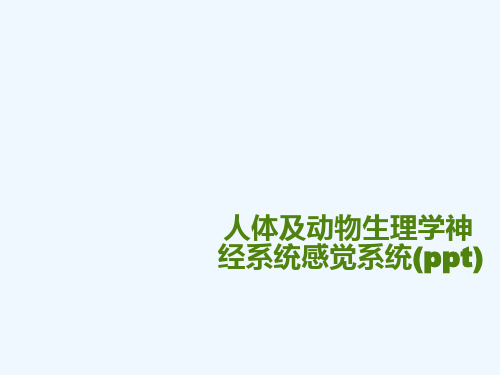 人体及动物生理学神经系统感觉系统(ppt)