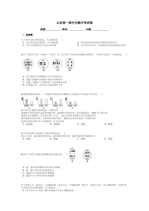 山东高一高中生物月考试卷带答案解析
