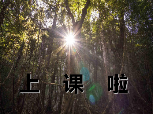 音乐《狮王进行曲》PPT课件