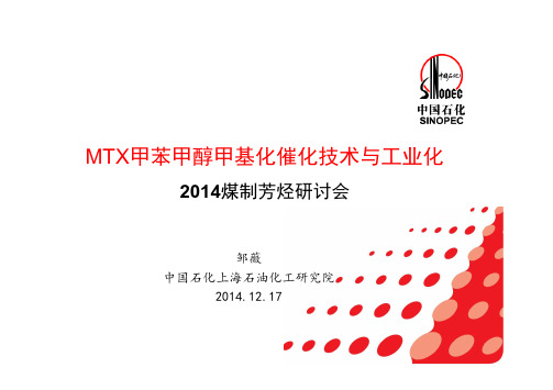 MTX甲苯甲醇甲基化催化技术与工业化