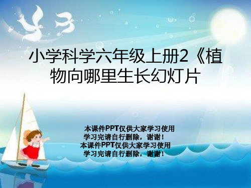 小学科学六年级上册2《植物向哪里生长幻灯片