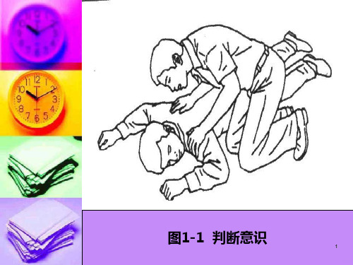 心肺复苏图示PPT课件