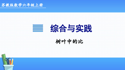 苏教版六年级上册数学综合与实践 树叶中的比(课件)