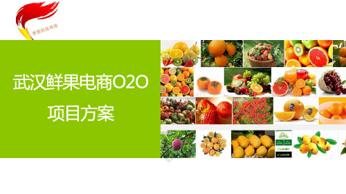 武汉鲜果电商O2O项目方案