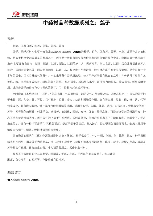 中药材品种数据系列之：莲子