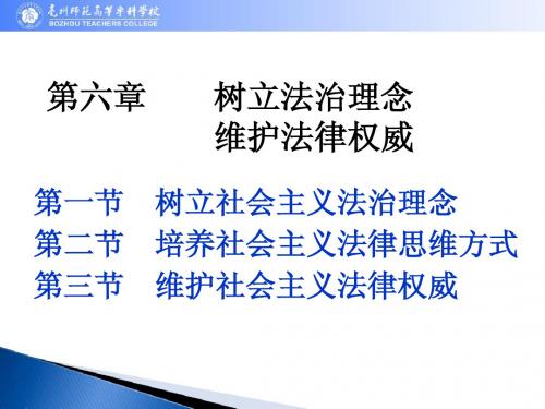 思想道德修养与法律基础 第六章 教案课件