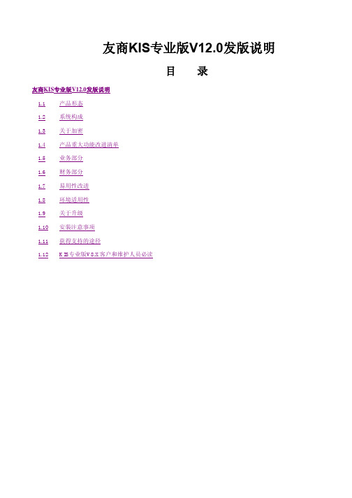 KIS专业版V12.0发版说明