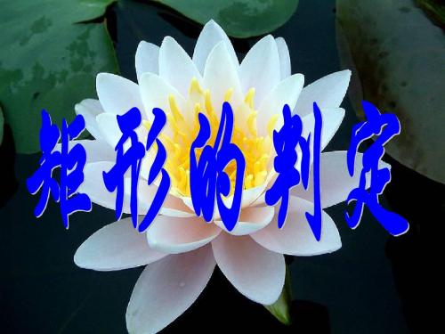 矩形的判定