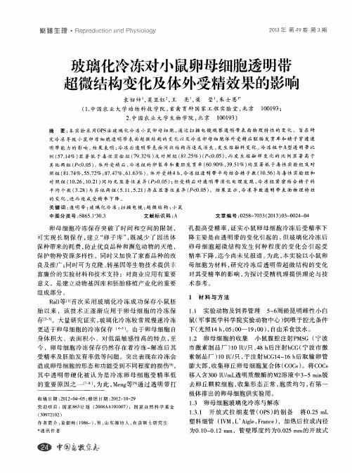 玻璃化冷冻对小鼠卵母细胞透明带超微结构变化及体外受精效果的影响