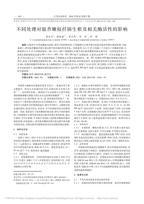 不同处理对银杏嫩枝扦插生根及相关酶活性的影响
