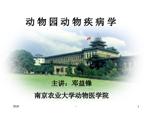 兽医外科手术学ppt课件