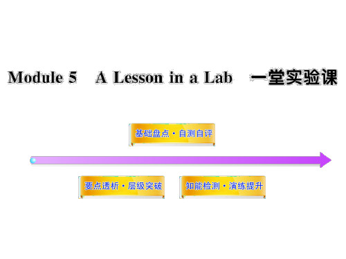 2012版高中英语全程复习方略配套课件：Module5(外研版必修1)