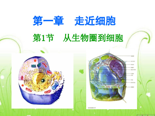 高二生物复习_走进细胞复习课件新人教版必修1