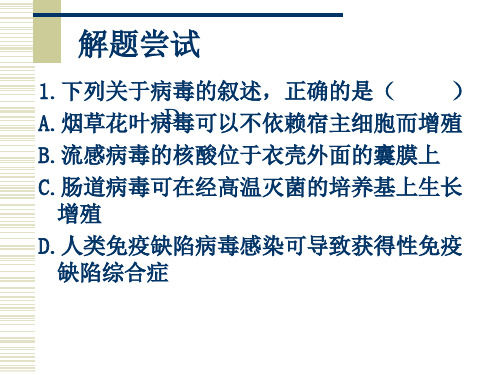 精编课件人教版高中生物专题复习课件细菌和病毒 (共33张PPT)