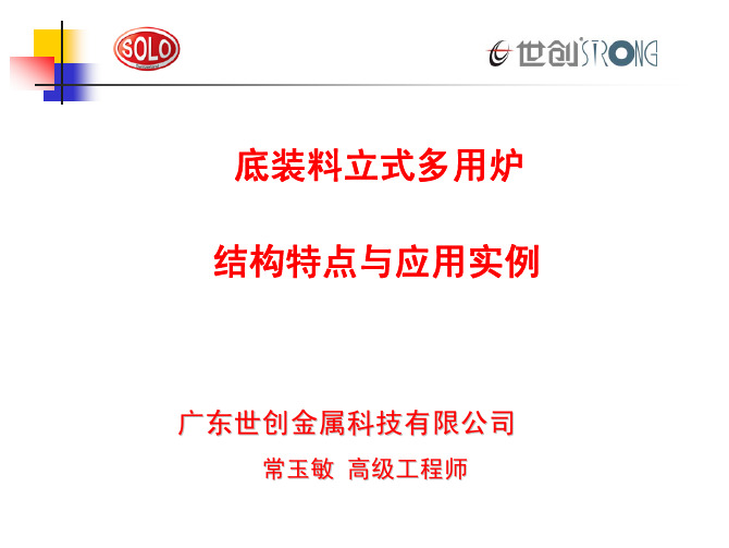 底装料立式多用炉的结构特点与应用实例