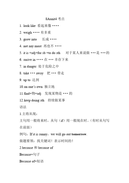 8Aunit4考点总结