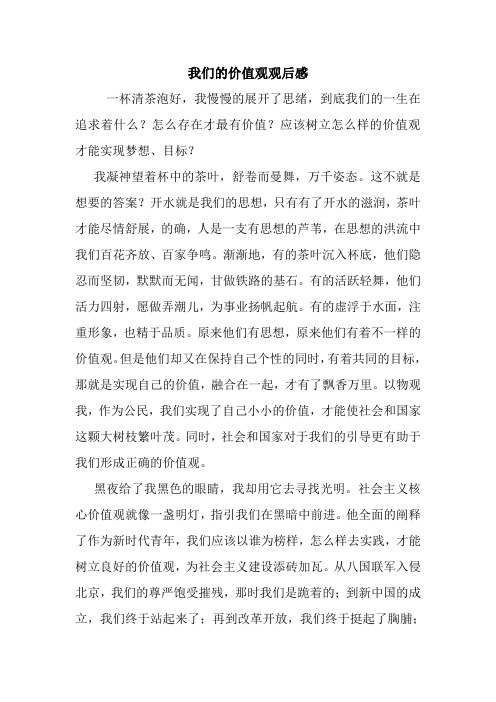 最新我们的价值观观后感 读后感随笔