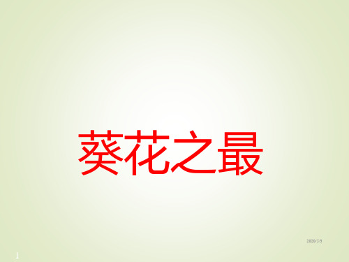 小学六年级下册语文精品课件7葵花之最