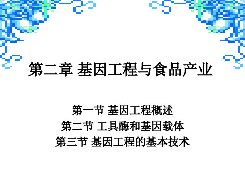 转基因食品与安全 第二章 基因工程与食品产业