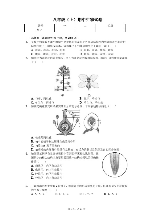 山东省济宁市 八年级(上)期中生物试卷(含答案)