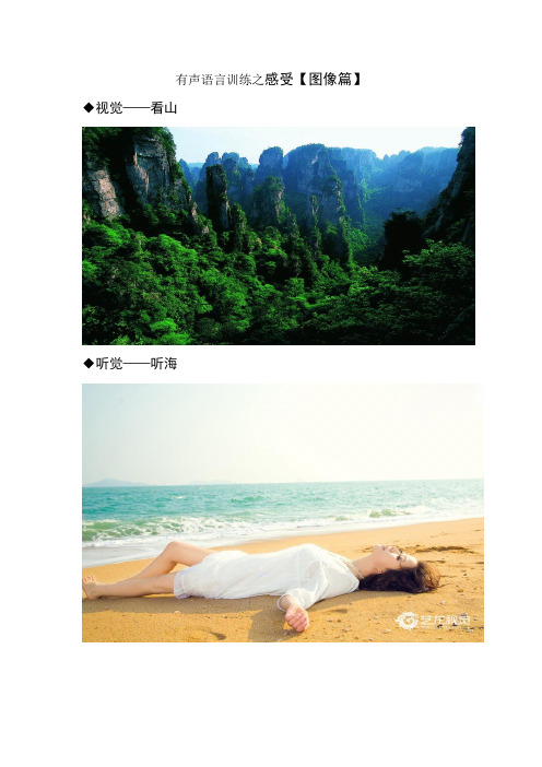 【播音主持】有声语言感官联想能力训练【图像篇】