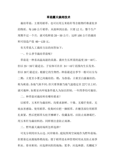 草菇露天栽培技术