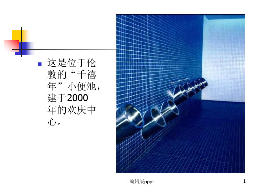 公共厕所设计ppt课件