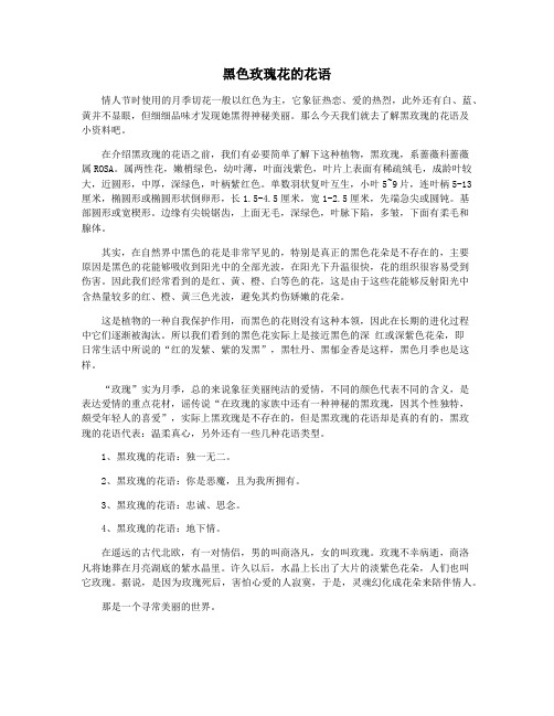 黑色玫瑰花的花语