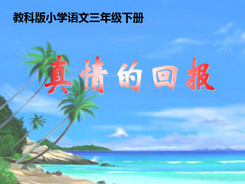 《真情的回报》课件20
