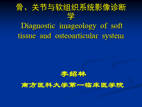 骨骼系统影像诊断(4)